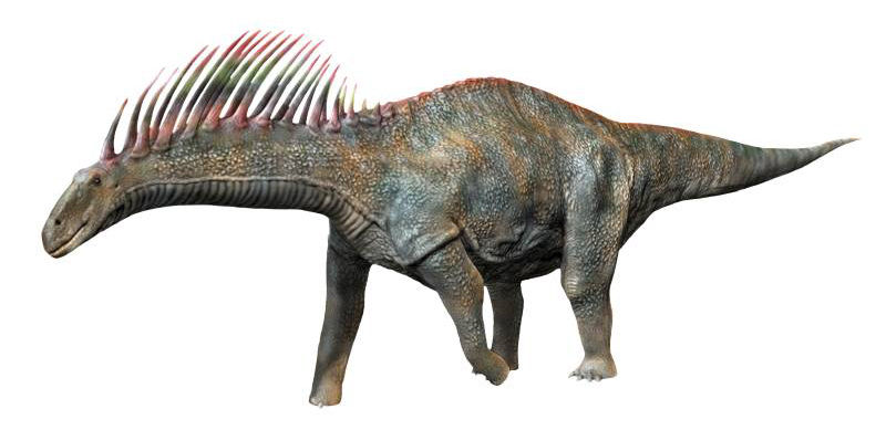 Amargazver
