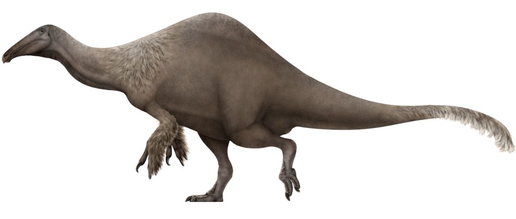 Deinocherius