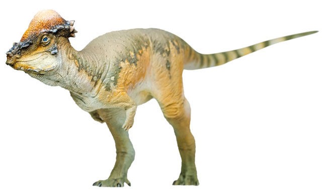Pahicefalozaver