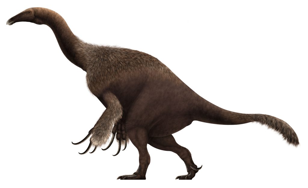therinozaver