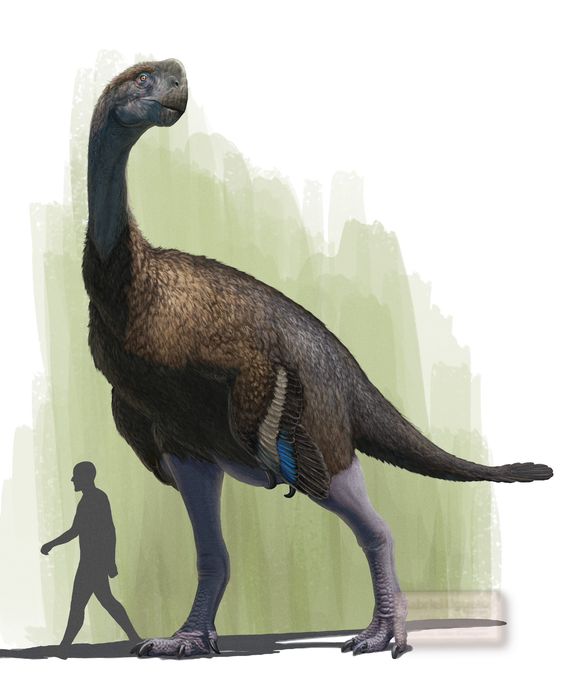 Gigantoraptor