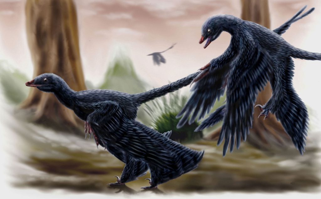 mikroraptor