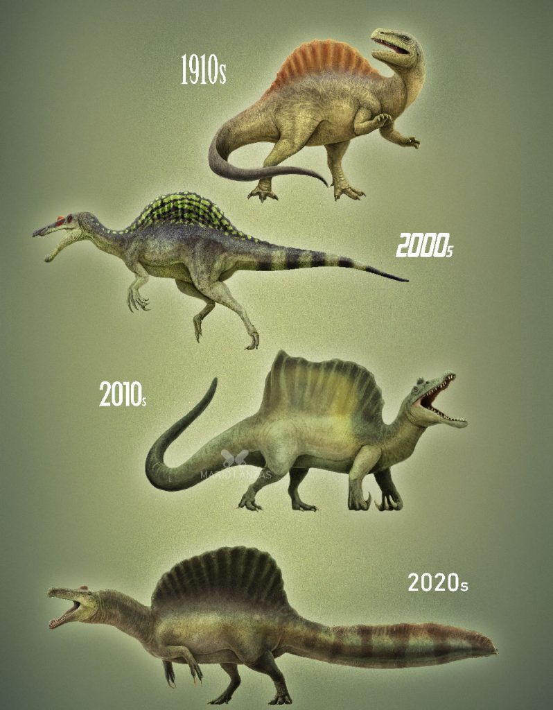 Spinozaver - evolucija razumevanja spinozavra