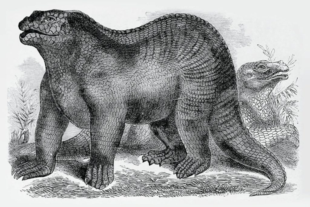 IGVANODON