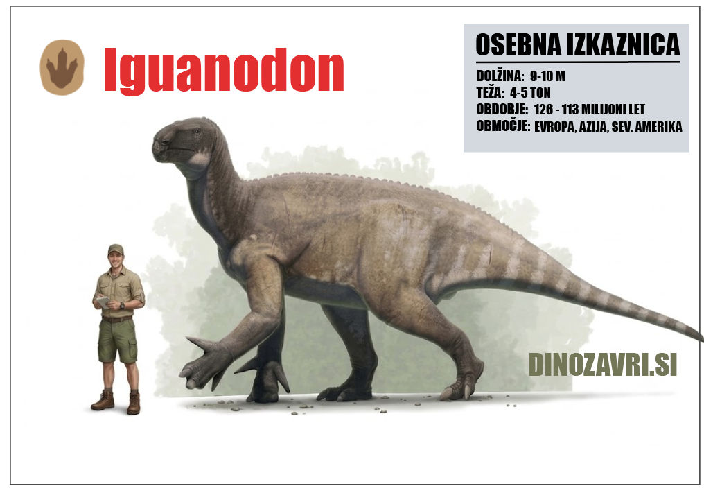 IGVANODON